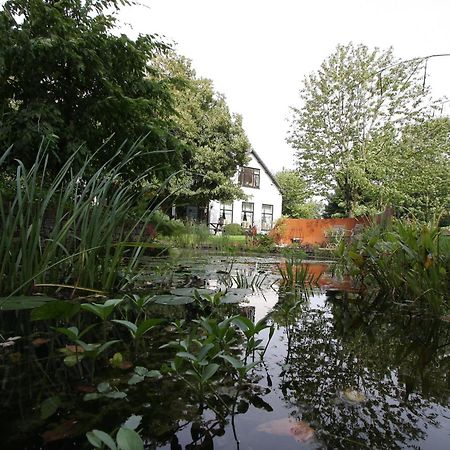 De Witte Wolk Bed and Breakfast Nieuw-Scheemda Eksteriør billede