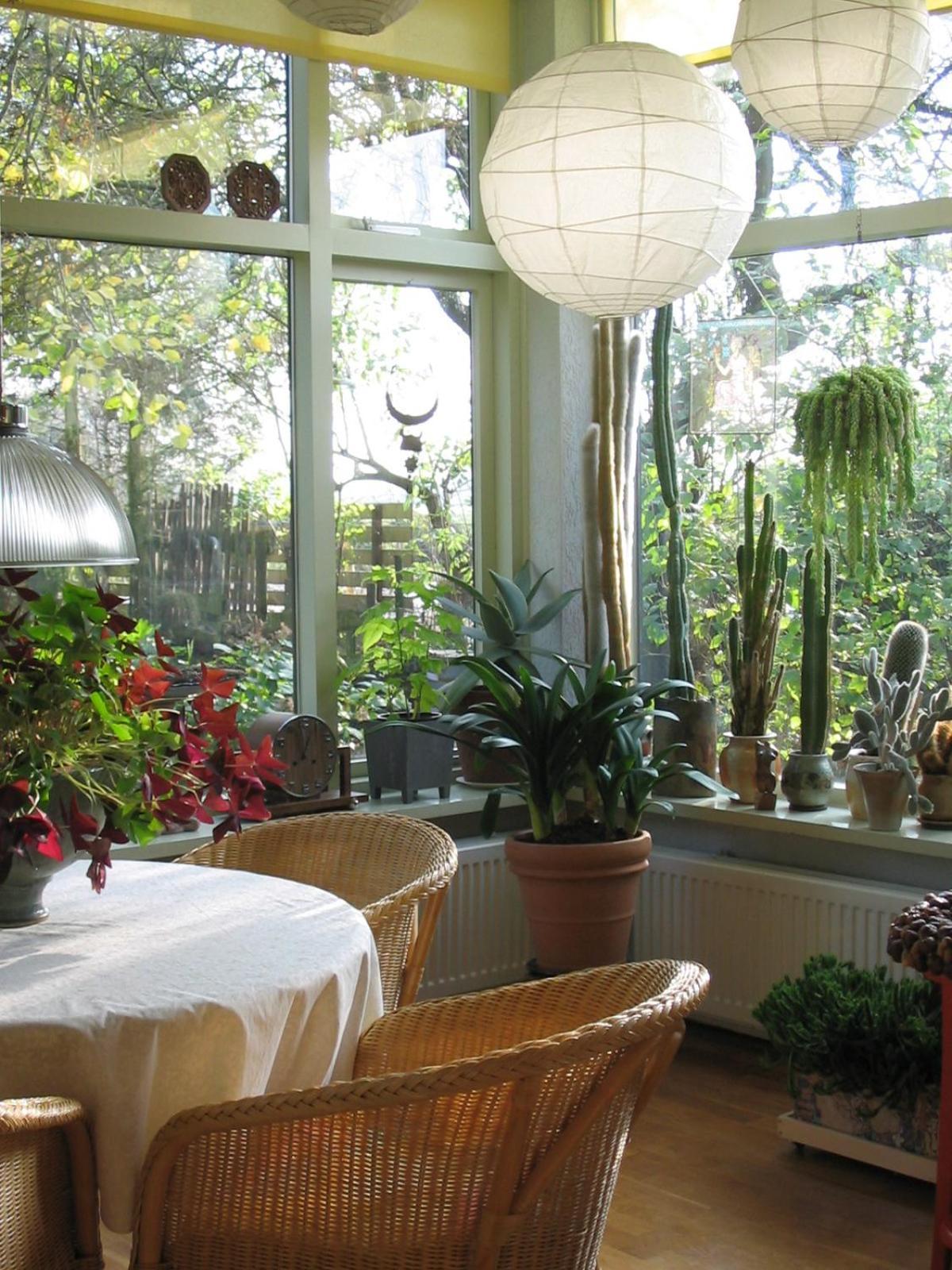 De Witte Wolk Bed and Breakfast Nieuw-Scheemda Eksteriør billede